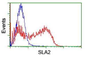 SLA2 Antibody in Flow Cytometry (Flow)