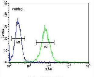 SMYD1 Antibody in Flow Cytometry (Flow)