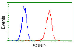 SORD Antibody in Flow Cytometry (Flow)