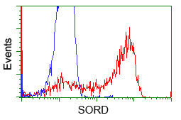 SORD Antibody in Flow Cytometry (Flow)