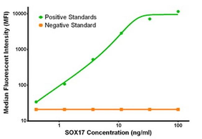 SOX17 Antibody in Luminex (LUM)