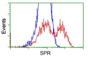 SPR Antibody in Flow Cytometry (Flow)