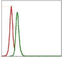 SRC Antibody in Flow Cytometry (Flow)