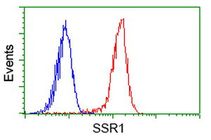 SSR1 Antibody in Flow Cytometry (Flow)