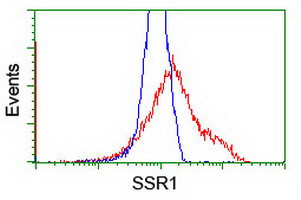 SSR1 Antibody in Flow Cytometry (Flow)