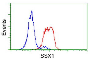 SSX1 Antibody in Flow Cytometry (Flow)