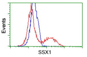 SSX1 Antibody in Flow Cytometry (Flow)