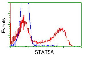 STAT5A Antibody in Flow Cytometry (Flow)