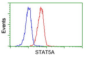 STAT5A Antibody in Flow Cytometry (Flow)