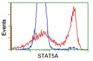 STAT5A Antibody in Flow Cytometry (Flow)