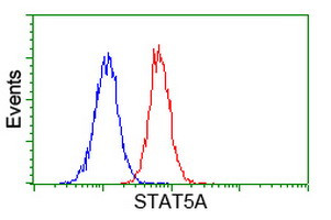 STAT5A Antibody in Flow Cytometry (Flow)