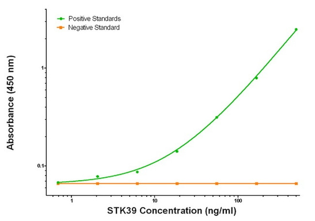 STK39 Antibody in ELISA (ELISA)