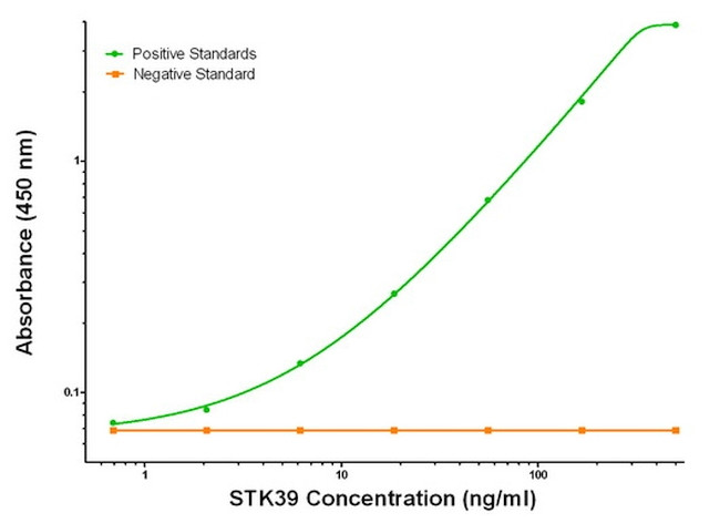 STK39 Antibody in ELISA (ELISA)