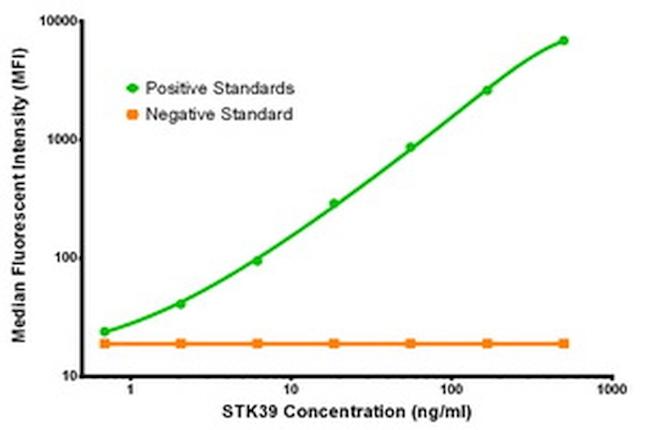 STK39 Antibody in Luminex (LUM)