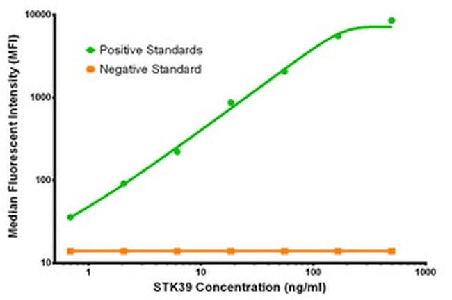 STK39 Antibody in Luminex (LUM)