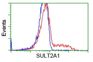SULT2A1 Antibody in Flow Cytometry (Flow)