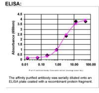 FIG4 Antibody in ELISA (ELISA)