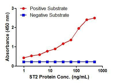 ST2 Antibody in ELISA (ELISA)