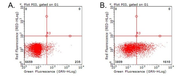 CD137 (TNFRSF9) Antibody in Flow Cytometry (Flow)