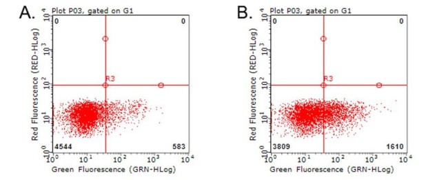 CD137 (TNFRSF9) Antibody in Flow Cytometry (Flow)