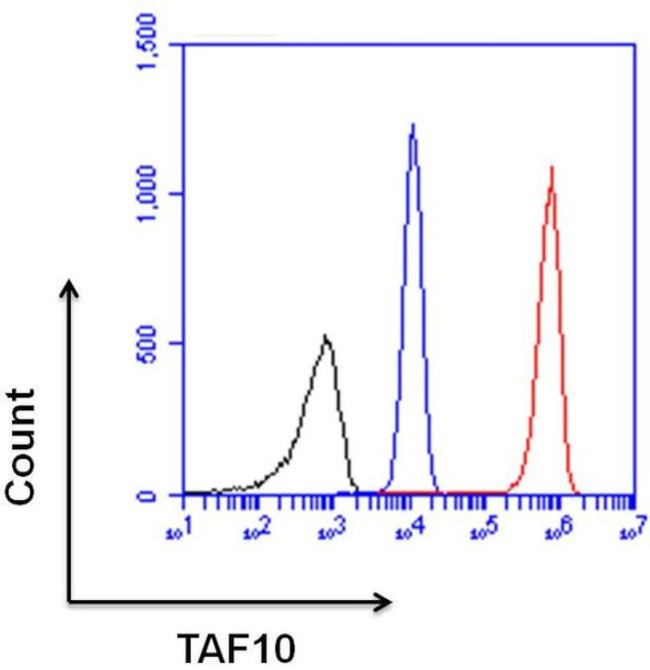 TAF10 Antibody in Flow Cytometry (Flow)