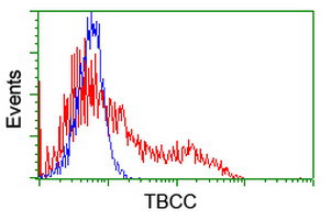 TBCC Antibody in Flow Cytometry (Flow)