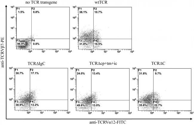 TCR V alpha 12.1 Antibody in Flow Cytometry (Flow)