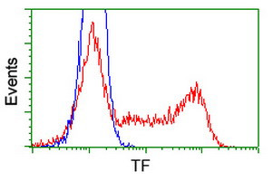 TF Antibody in Flow Cytometry (Flow)