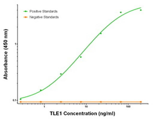 TLE1 Antibody in ELISA (ELISA)