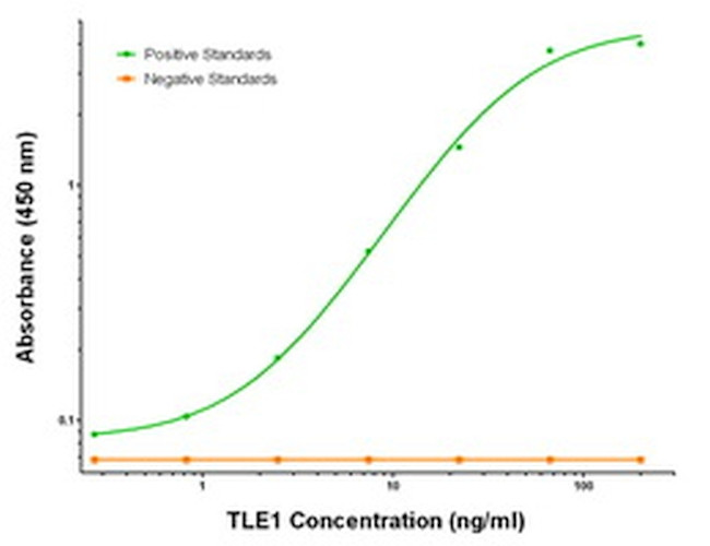 TLE1 Antibody in ELISA (ELISA)