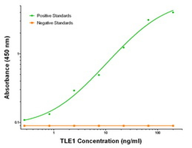 TLE1 Antibody in ELISA (ELISA)