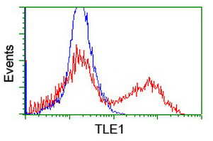 TLE1 Antibody in Flow Cytometry (Flow)