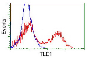 TLE1 Antibody in Flow Cytometry (Flow)