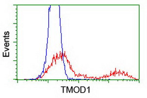 TMOD1 Antibody in Flow Cytometry (Flow)