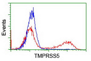 TMPRSS5 Antibody in Flow Cytometry (Flow)