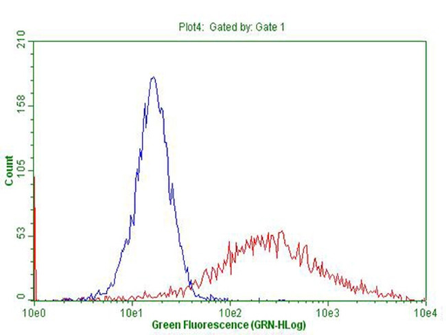 TNFA Antibody in Flow Cytometry (Flow)