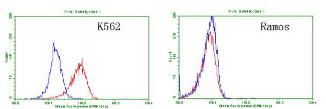 TNFRSF8 Antibody in Flow Cytometry (Flow)