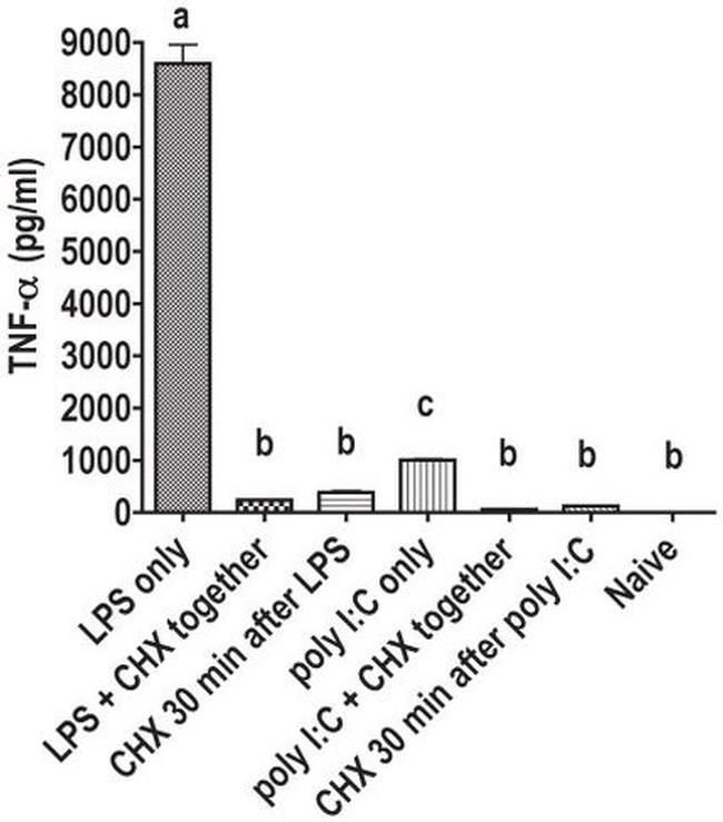 TNF alpha Antibody in ELISA (ELISA)