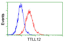 TTLL12 Antibody in Flow Cytometry (Flow)