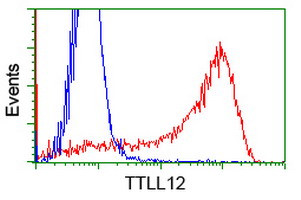 TTLL12 Antibody in Flow Cytometry (Flow)