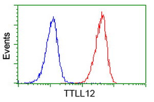 TTLL12 Antibody in Flow Cytometry (Flow)