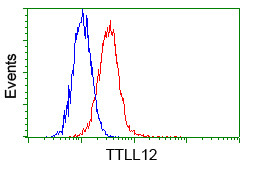 TTLL12 Antibody in Flow Cytometry (Flow)