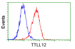 TTLL12 Antibody in Flow Cytometry (Flow)