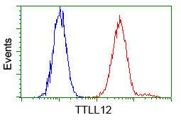 TTLL12 Antibody in Flow Cytometry (Flow)