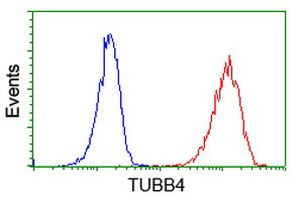 TUBB4 Antibody in Flow Cytometry (Flow)