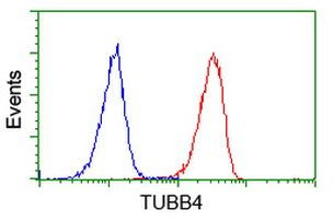 TUBB4 Antibody in Flow Cytometry (Flow)