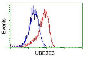 UBE2E3 Antibody in Flow Cytometry (Flow)