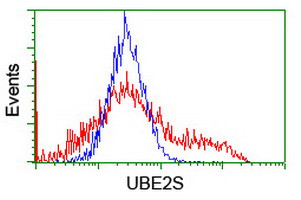 UBE2S Antibody in Flow Cytometry (Flow)