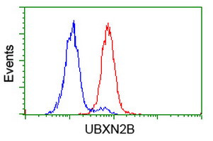 UBXN2B Antibody in Flow Cytometry (Flow)