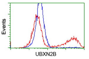 UBXN2B Antibody in Flow Cytometry (Flow)